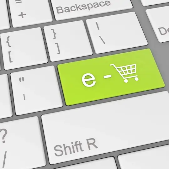 Tailored E-commerce Solutions