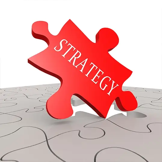 Tailored Strategy Solutions