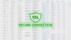 Secure Hosting and SSL Certificates
