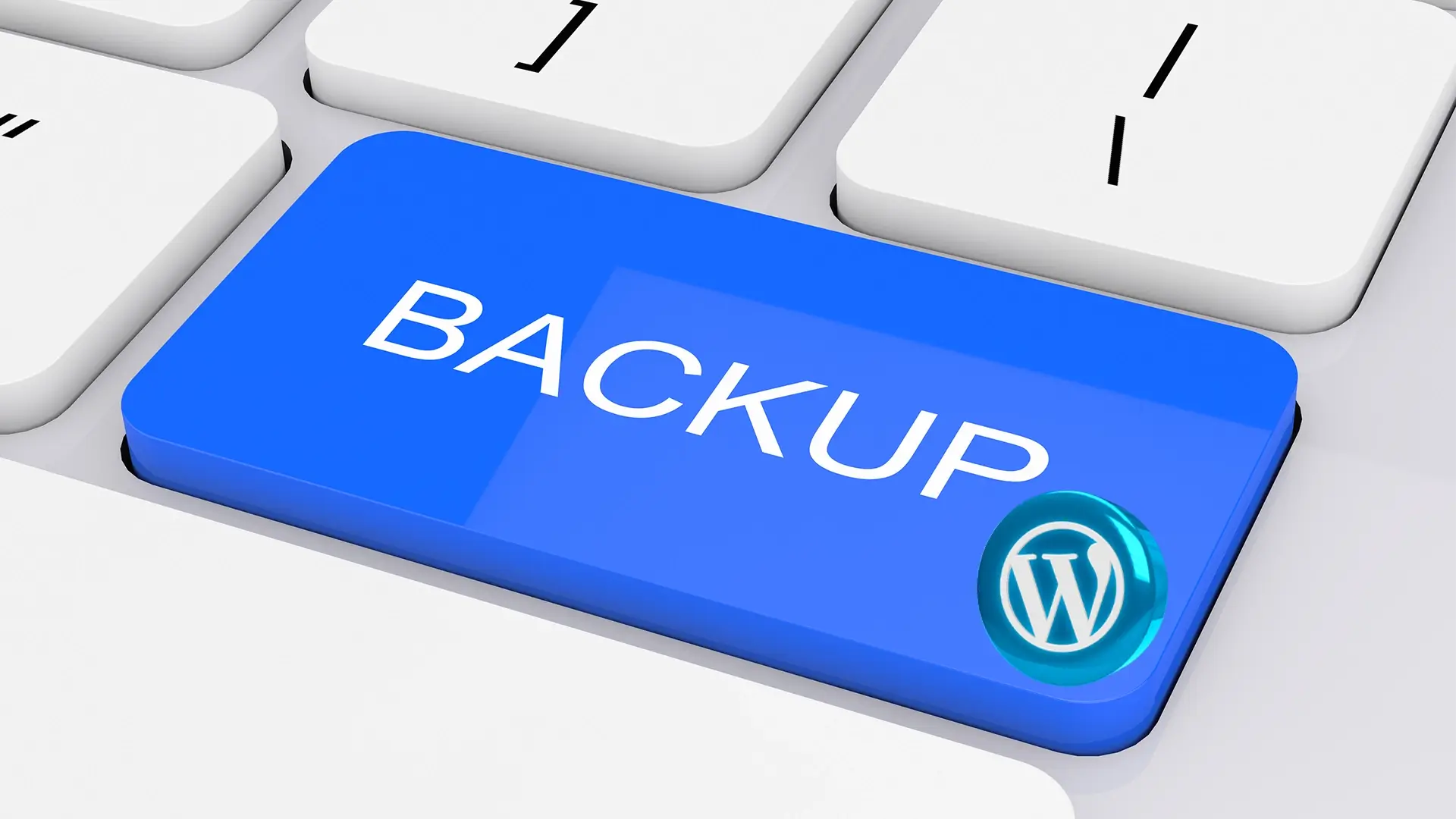 The Importance of Regular Backups for Your WordPress Website