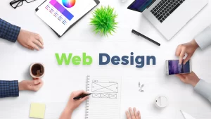 Our Professional Web Design Services