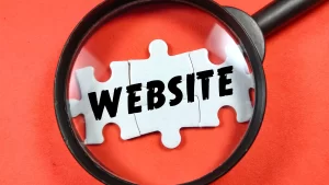 The Importance of Your Website